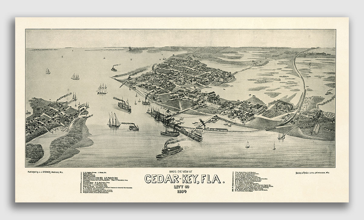 24x36 Bird/'s Eye View 1884 De Land Florida Vintage Style City Map